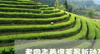 老同志普洱茶最新动态/2023073132614