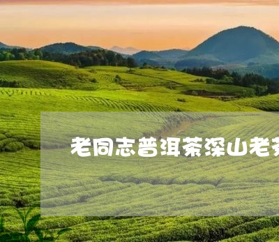 老同志普洱茶深山老茶/2023080345052