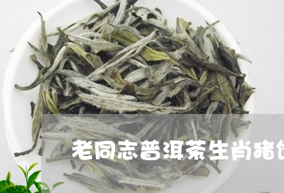 老同志普洱茶生肖猪饼/2023062302636