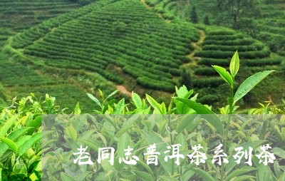 老同志普洱茶系列茶/2023091472946