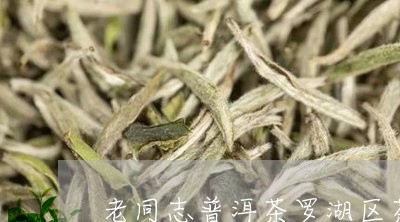 老同志普洱茶罗湖区茶店/2023120714041