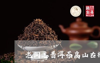 老同志普洱茶高山古树/2023092503940