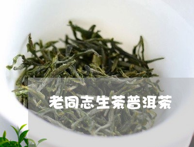 老同志生茶普洱茶/2023102676026