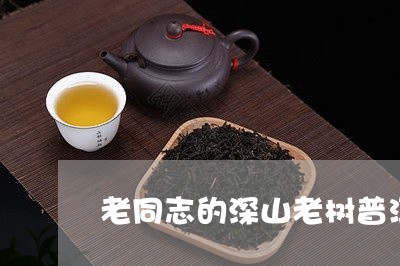 老同志的深山老树普洱茶/2023112764917