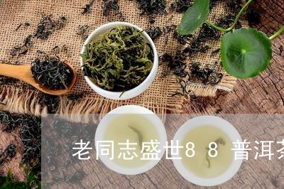 老同志盛世88普洱茶/2023062732614