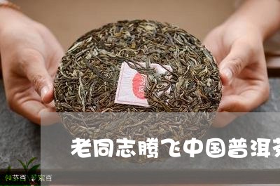 老同志腾飞中国普洱茶/2023080231525