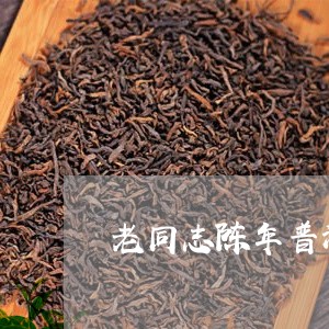 老同志陈年普洱茶熟茶/2023120682938