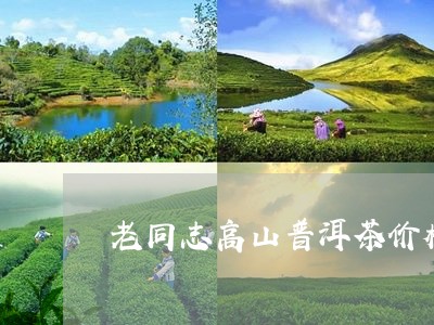 老同志高山普洱茶价格/2023100674838