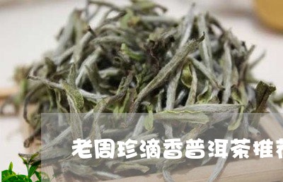 老周珍滴香普洱茶推荐/2023072305957