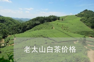 老太山白茶价格/2023060932816