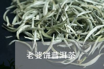 老婆饼普洱茶/2023042880394