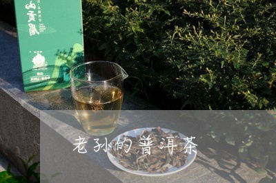 老孙的普洱茶/2023042713961