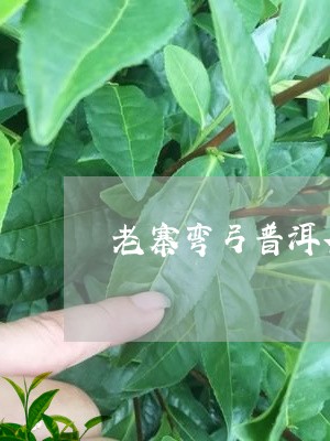 老寨弯弓普洱茶/2023081558601