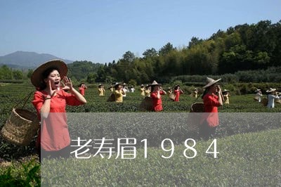 老寿眉1984/2023112553614