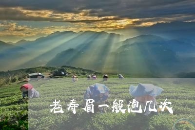 老寿眉一般泡几次/2023090849716