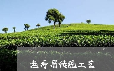 老寿眉传统工艺/2023112485269