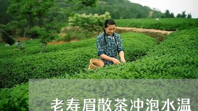 老寿眉散茶冲泡水温/2023120471813