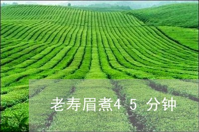 老寿眉煮45分钟/2023090809471