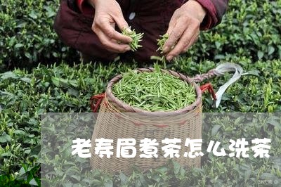 老寿眉煮茶怎么洗茶/2023120453736