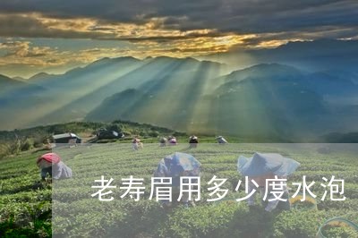 老寿眉用多少度水泡/2023120445391