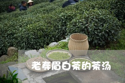 老寿眉白茶的茶汤/2023090852937