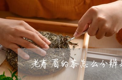 老寿眉的茶怎么分辨好坏/2023092480484