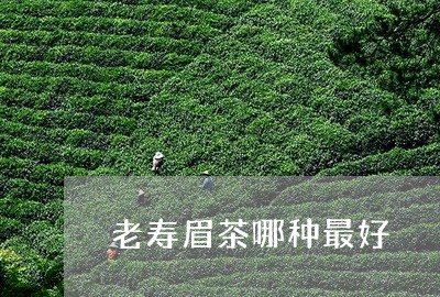 老寿眉茶哪种最好/2023090823725