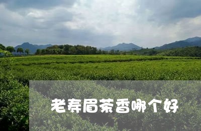 老寿眉茶香哪个好/2023090838481