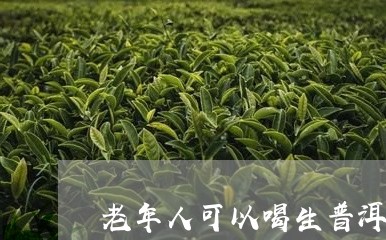 老年人可以喝生普洱茶/2023092996048