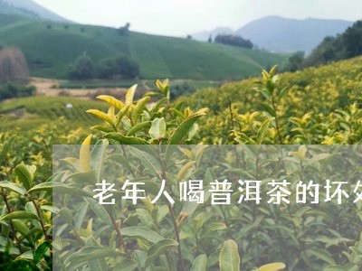 老年人喝普洱茶的坏处/2023092623846