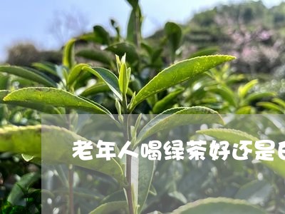 老年人喝绿茶好还是白茶好/2023111004158