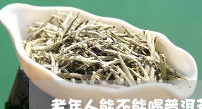 老年人能不能喝普洱茶/2023072126158