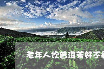 老年人饮普洱茶好不好/2023092643615