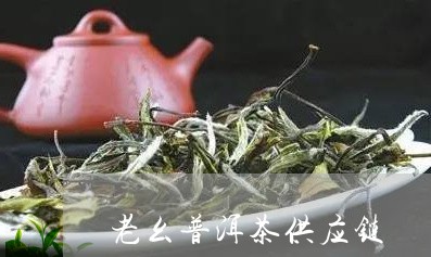 老幺普洱茶供应链/2023121857368