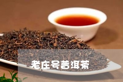 老庄号普洱茶/2023091270594