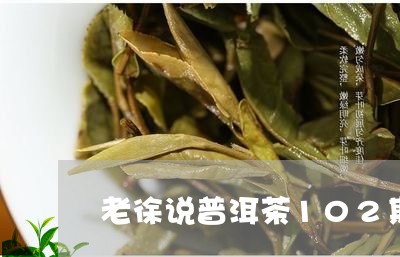 老徐说普洱茶102期/2023062299483