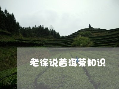 老徐说普洱茶知识/2023081699604