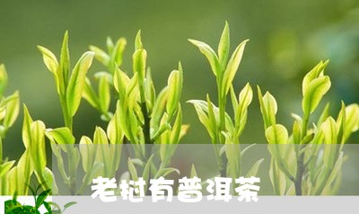 老挝有普洱茶/2023042637390