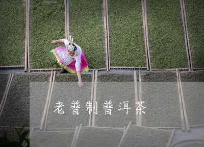 老普制普洱茶/2023042648430