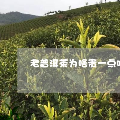 老普洱茶为啥贵一点呀/2023083190692