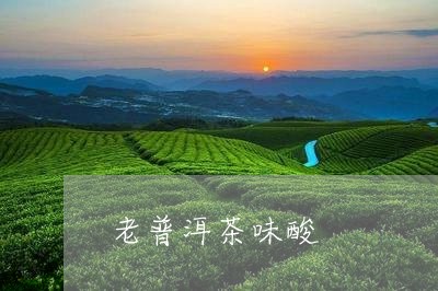 老普洱茶味酸/2023042829237