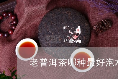 老普洱茶哪种最好泡水/2023083132150