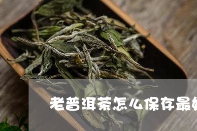 老普洱茶怎么保存最好/2023080184835