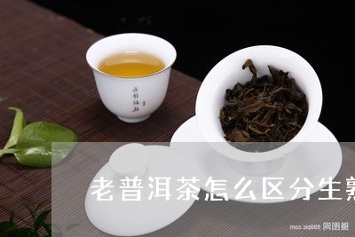 老普洱茶怎么区分生熟茶/2023121804259