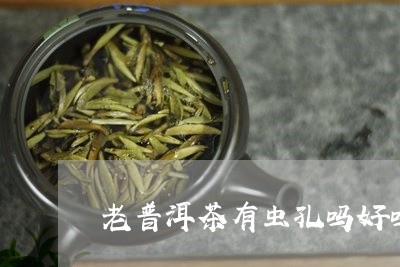 老普洱茶有虫孔吗好吗/2023110836836