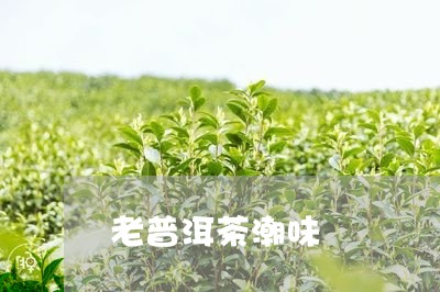 老普洱茶潮味/2023090679581