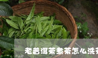 老普洱茶煮茶怎么洗茶/2023080313707