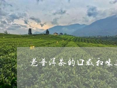 老普洱茶的口感和味道/2023083163045