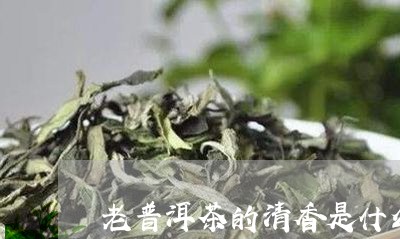 老普洱茶的清香是什么茶/2023102468274