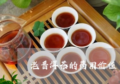 老普洱茶的药用价值/2023071049705